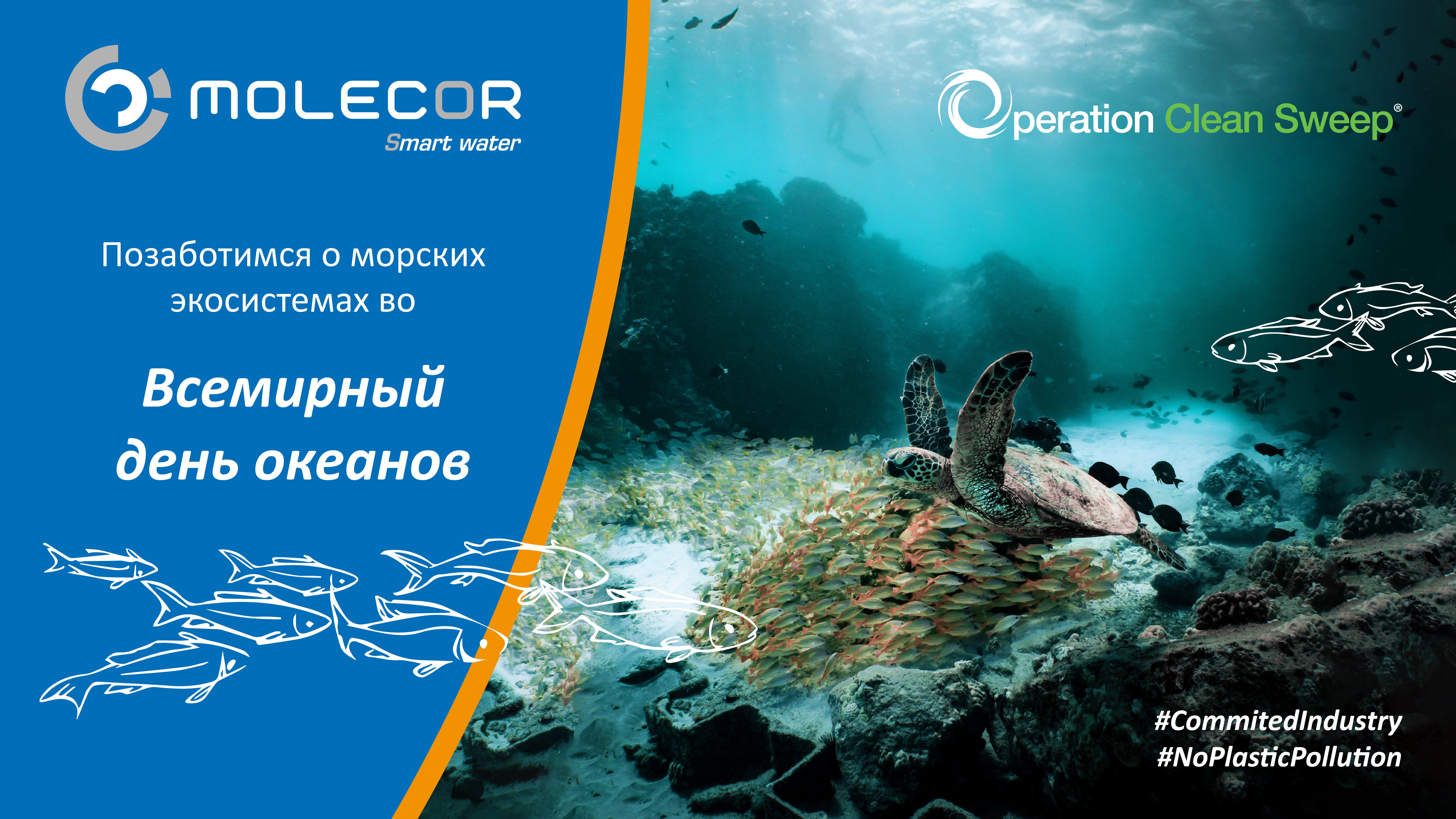 Компания Molecor присоединяется к заботе о морских экосистемах во «Всемирный день океанов» в рамках программы Operation Clean Sweep